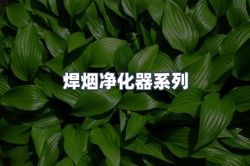 焊烟净化器系列